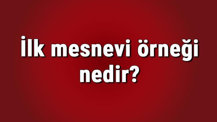 ilk mesnevi ornegi nedir ilk mesnevi yazari kimdir turk edebiyatinda ilk mesnevi