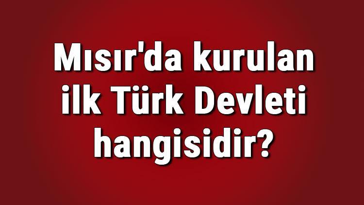 misir da kurulan ilk turk devleti hangisidir misir da kurulan ilk turk islam devletleri nelerdir