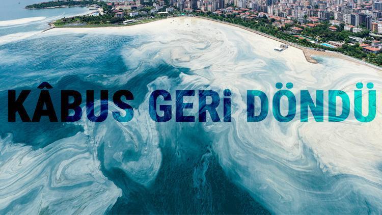 Caddebostan Sahili'nde müsilaj kâbusu! Yeniden arttı