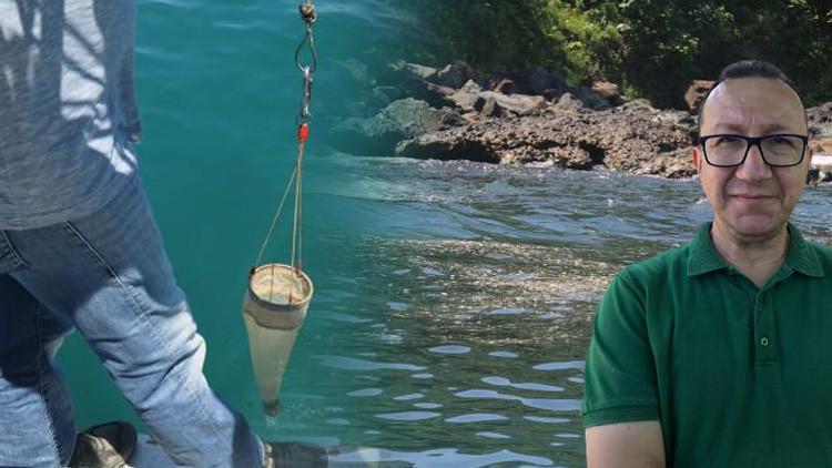 Son dakika: Karadeniz'deki kirlilikte 'müsilaj' endişesi! Numune alındı