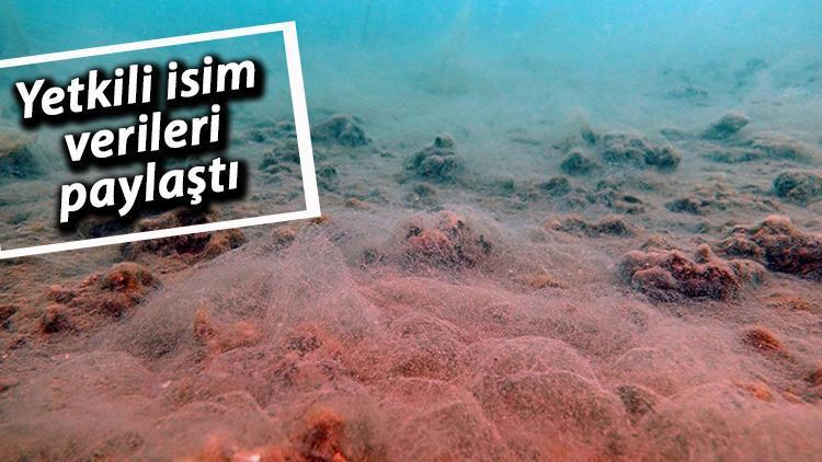 Marmara'nın diplerindeki müsilaj analizinin ilk sonuçları geldi