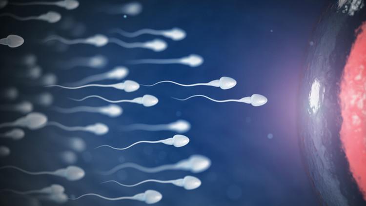 Sperm tahlilinde hareketin değerlendirilmesi