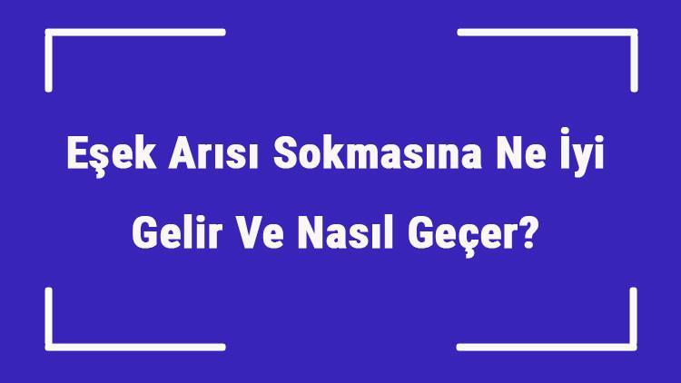 Eşek Arısı Sokmasına Ne İyi Gelir Ve Nasıl Geçer? Eşek Arısı Sokması Öldürür Mü?