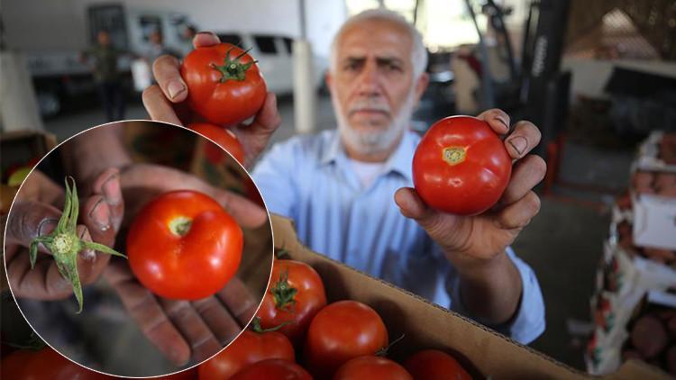 İsrail'den tuhaf yasak... Şimdi de 'sapsız domates' şartı getirdiler!
