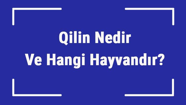 Qilin Nedir Ve Hangi Hayvandır? Japonca'da Qilin Anlamı