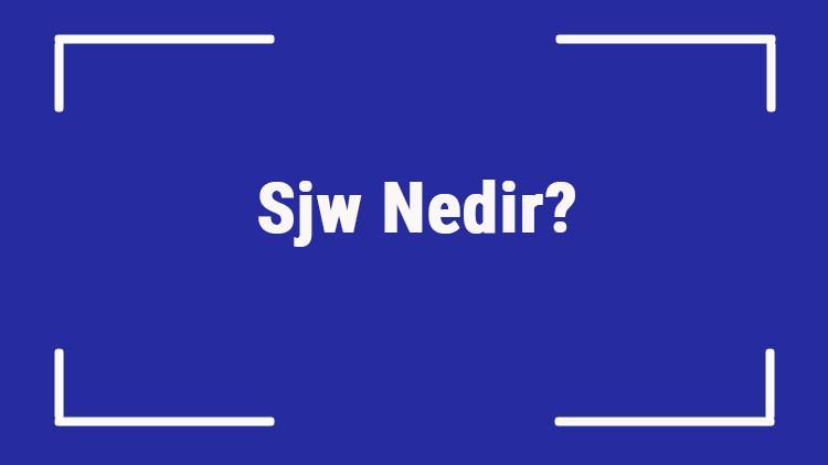Sjw Nedir? Sjw (Social Justice Warrior) Akımı Ve Filmleri Hakkında Bilgi