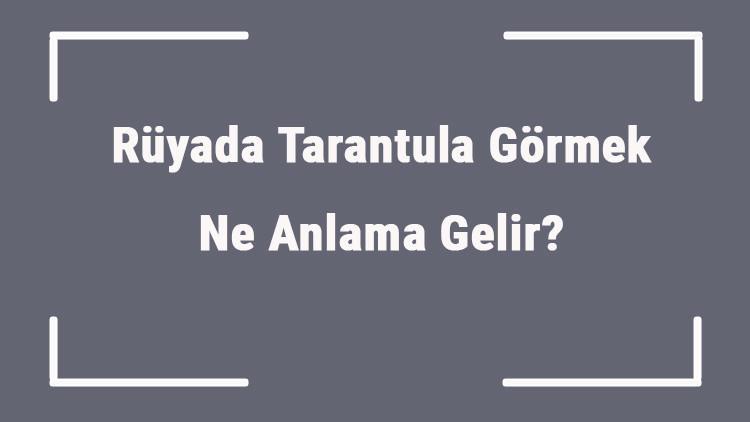 Rüyada Tarantula Görmek Ne Anlama Gelir? Rüyada Tarantula Isırması Ve Kovalaması