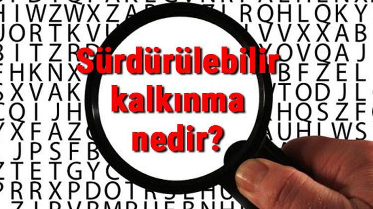 Sürdürülebilir kalkınma nedir, neden önemlidir? Sürdürülebilir kalkınma amaçları..