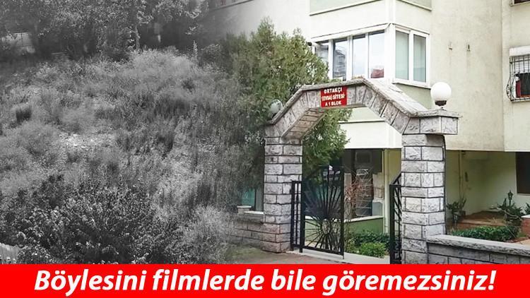Dairesinin binde 1 hissesini Avusturya'da yaşayan birine sattı! Dönüşümde ‘santim’ oyunu