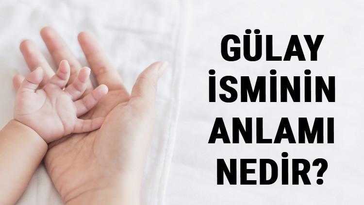 Gülay İsminin Anlamı Nedir? Gülay Ne Demek? Gülay Adının Özellikleri, Analizi Ve Kökeni