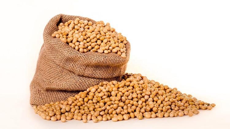 Soya ürünlerini tüketmek bize ne fayda sağlar?