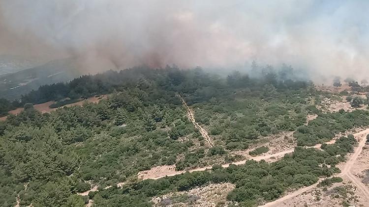 son dakika izmir karaburun da yangin son dakika haberleri internet