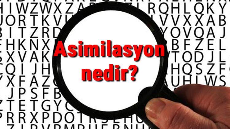 Asimilasyon nedir? Asimilasyon politikası ne demek? Tarihte asimilasyon örnekleri