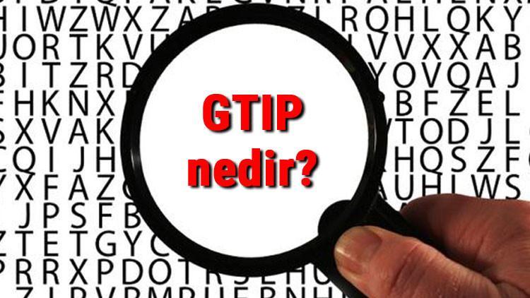 GTIP nedir ve ne işe yarar? GTIP kodu sorgulama işlemi nasıl yapılır