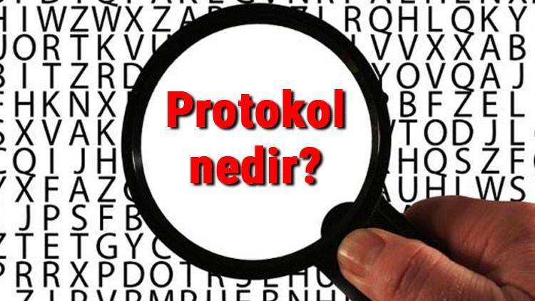 Protokol nedir ve çeşitleri nelerdir?