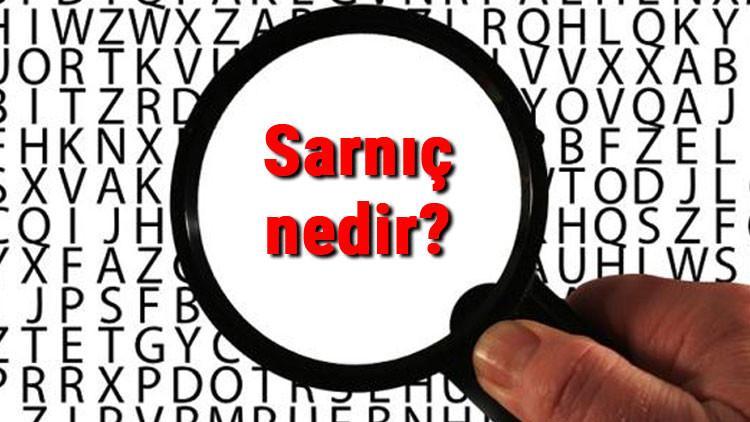 Sarnıç nedir ve eskiden hangi amaçla kullanılırdı? Sarnıç mimarisi ve örnekleri