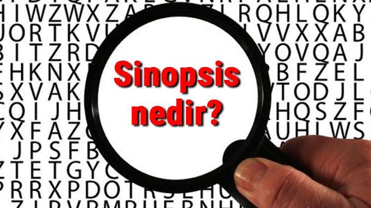Sinopsis nedir ve özellikleri nelerdir? Sinopsis örnekleri