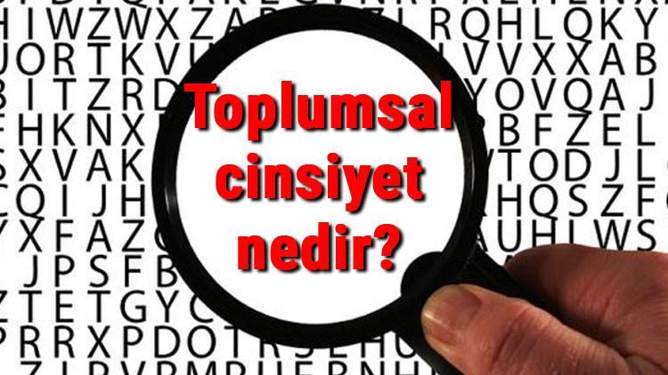 Toplumsal cinsiyet nedir? Sosyolojide toplumsal cinsiyet eşitliği ve eşitsizliği terimleri