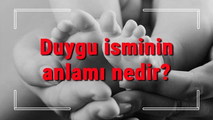 Duygu isminin anlamı nedir? Duygu ne demek? Duygu adının özellikleri, analizi ve kökeni