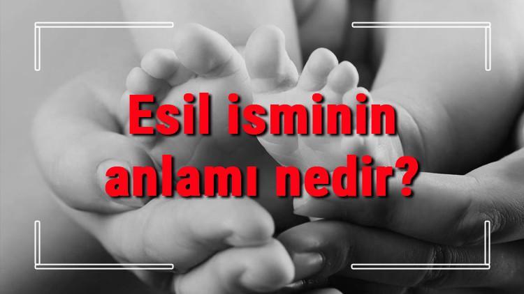Esil isminin anlamı nedir? Esil ne demek? Esil adının özellikleri, analizi ve kökeni