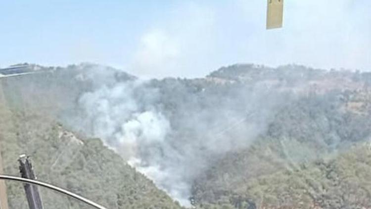 Son dakika... İzmir Güzelbahçe'de orman yangını