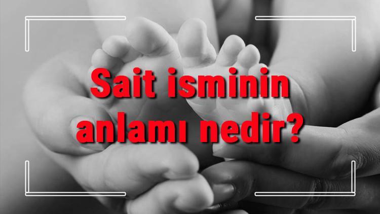 Sait isminin anlamı nedir? Sait ne demek? Sait adının özellikleri, analizi ve kökeni