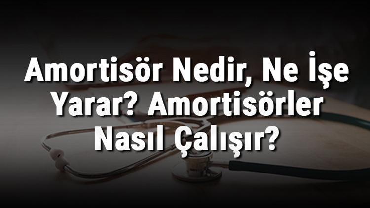 Amortisör Nedir, Ne İşe Yarar? Amortisörler Nasıl Çalışır?