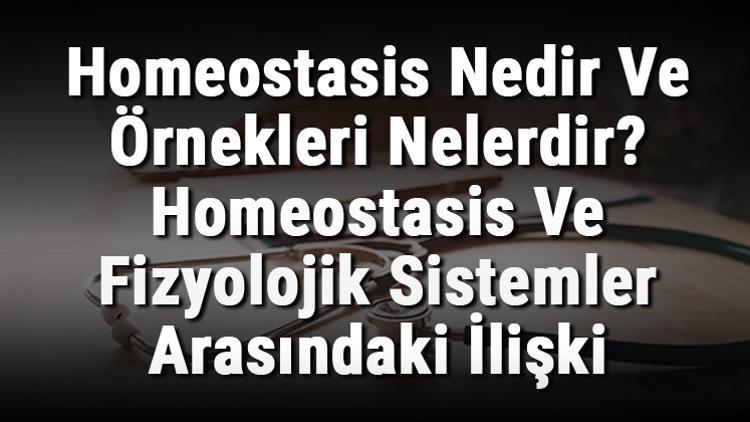Homeostasis Nedir Ve Örnekleri Nelerdir? Homeostasis Ve Fizyolojik Sistemler Arasındaki İlişki