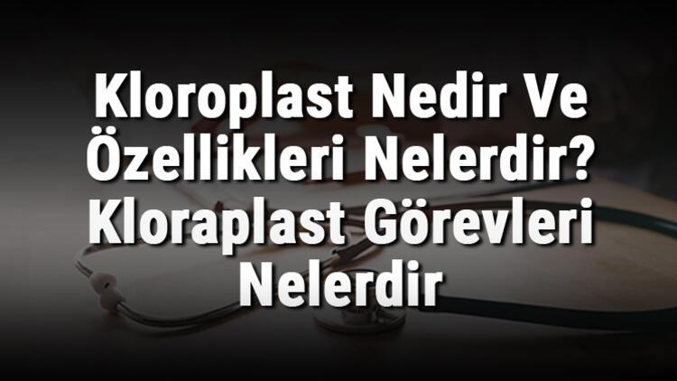 Kloroplast Nedir Ve Ozellikleri Nelerdir Kloraplast Gorevleri Nelerdir Ve Hayvan Hucresinde Bulunur Mu Saglik Haberleri