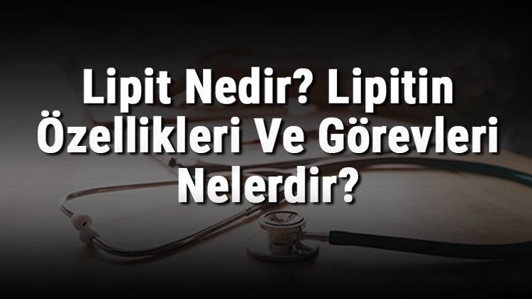 Lipit Nedir? Lipitin Özellikleri Ve Görevleri Nelerdir?