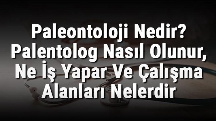 Paleontoloji Nedir? Palentolog Nasıl Olunur, Ne İş Yapar Ve Çalışma Alanları Nelerdir