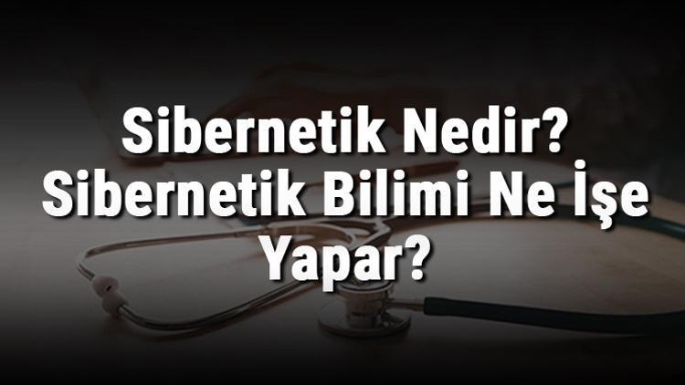 Sibernetik Nedir? Sibernetik Bilimi Ne İşe Yapar?