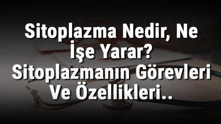 Sitoplazma Nedir, Ne İşe Yarar? Sitoplazmanın Görevleri Ve Özellikleri..