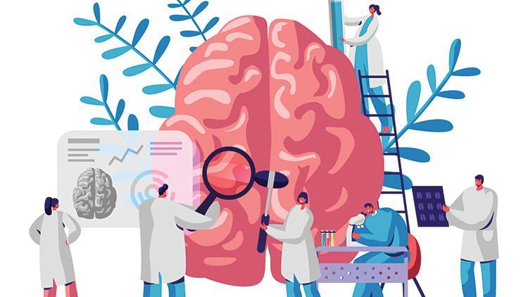 Öğrenme hızı yavaşlasa da asla durmaz - Magazin Haberleri