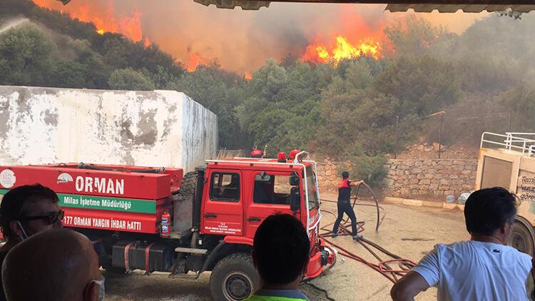 Bakan Pakdemirli orman yangınlarında son durumu paylaştı