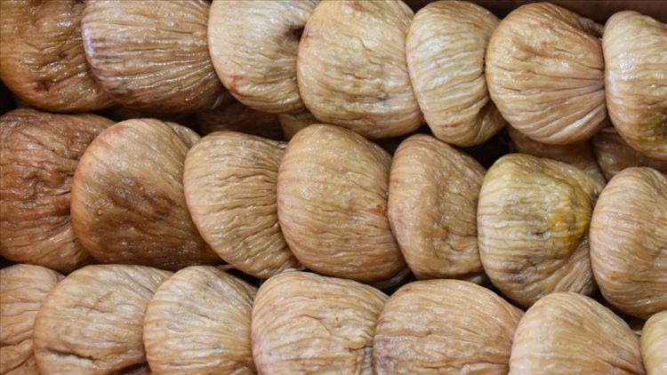 Aydın'da sezonun ilk kuru inciri kilosu 250 liradan satıldı