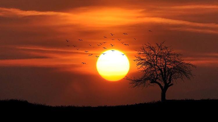 Sıcak rekoru kırıldı! Tunus 50,3 dereceyi gördü