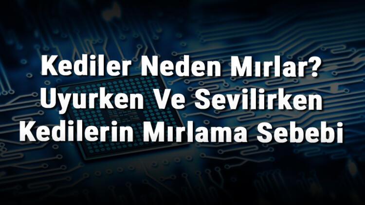 Kediler Neden Mirlar Uyurken Ve Sevilirken Kedilerin Mirlama Sebebi