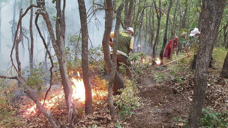 OGM ülke genelindeki orman yangınlarında son durumu açıkladı