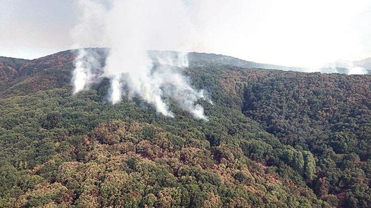 Tunceli’deki yangınlar kontrol altında