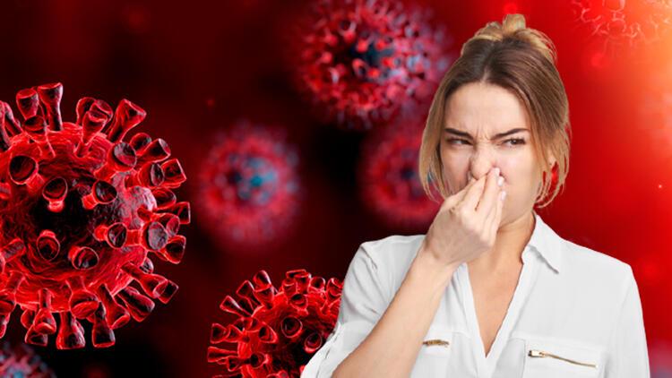 Koronavirüse dair en ilginç 10 iddia 10 yanıt | Gaz çıkarma ile bulaşır mı