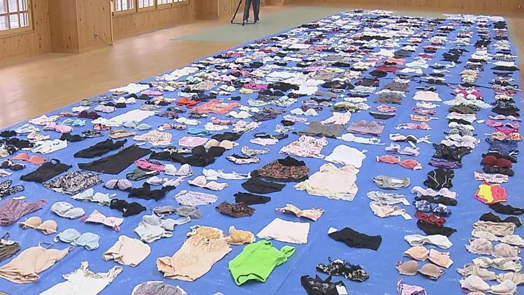 Çamaşırhanelerden 700'den fazla kadın iç çamaşırı çaldı, tutuklandı!