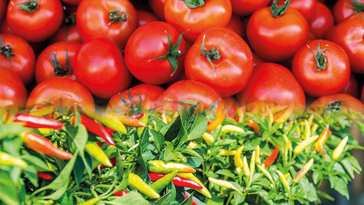 Son dakika haberi: Rusyadan domates-biber ithalatı kararı
