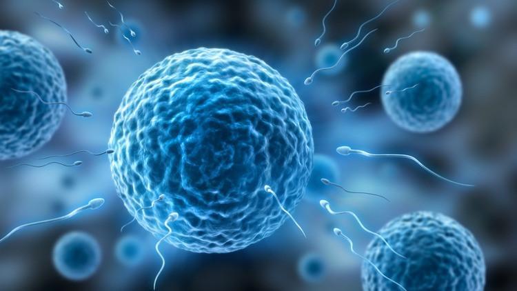 Sperm sayısı nasıl arttırılır?