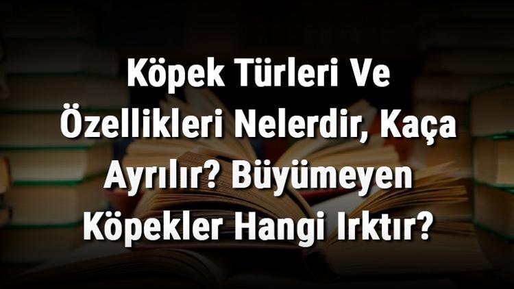 Kopek Turleri Ve Ozellikleri Nelerdir Kaca Ayrilir Buyumeyen Kopekler Hangi Irktir