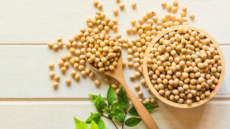 Lektin Nedir, Hangi Gıdalarda Bulunur? İşte, Lektin İçeren Besinler ve Vücuda Etkileri