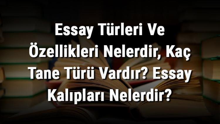 essay ne demekdir