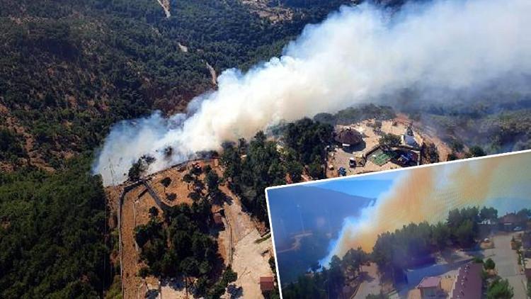 son dakika izmir de orman yangini son dakika flas haberler