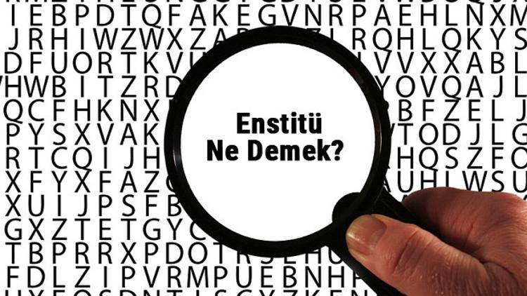 enstitu ne demek enstitu kelimesinin anlami nedir tdk ya gore sozluk anlami