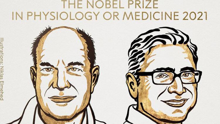 Son dakika: Nobel Tıp Ödülünü kazananlar açıklandı